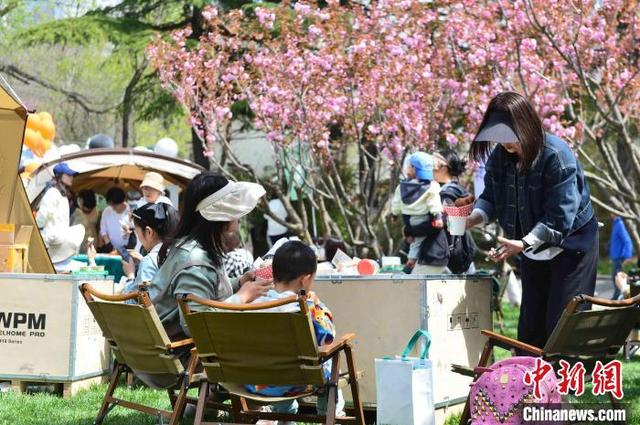 4月19日，青岛市植物园吸引大量市民游客尽享春光。王海滨 摄