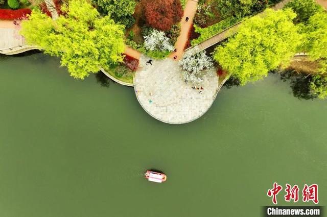 4月19日，市民游客在青岛中山公园的湖上泛舟。(无人机照片)王海滨 摄