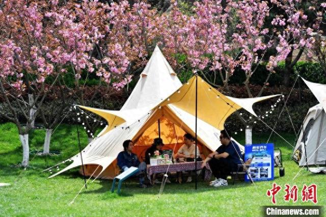 4月19日，市民游客在青岛市植物园的露营区域休闲。王海滨 摄