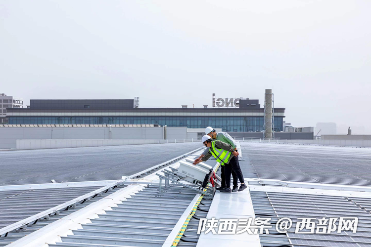 工作人员会定期维护太阳能光伏发电板。