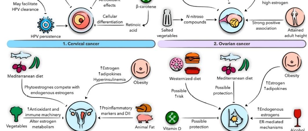 也说说港大深圳医院妇科冲突事件