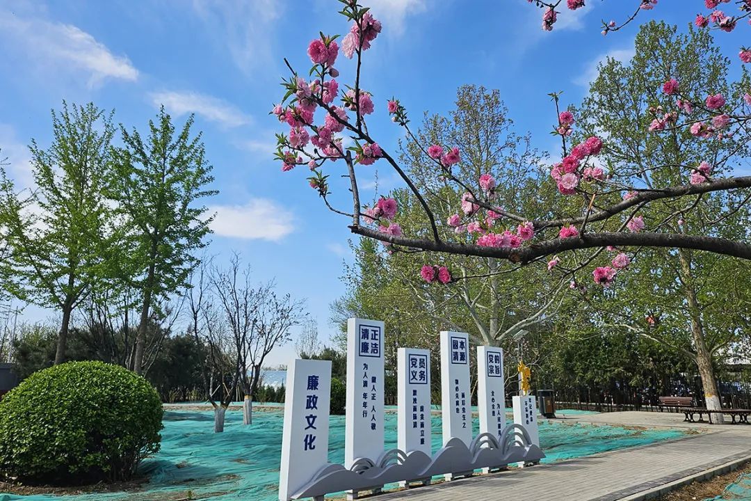 顺义区北务镇这个休闲广场升级,村民幸福指数加码