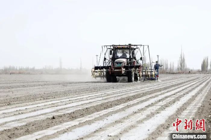 播种机正在播种棉花.乔建林 摄