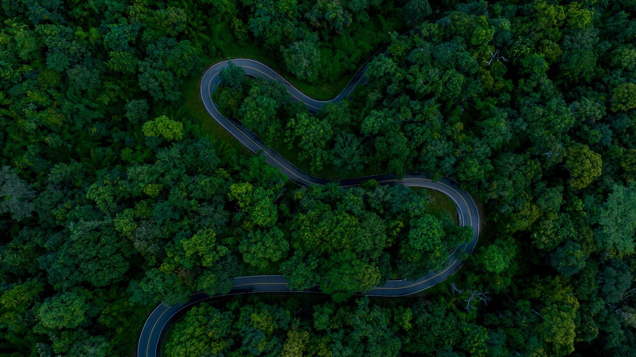 在公园散步才是正经事 | 编辑部聊天室