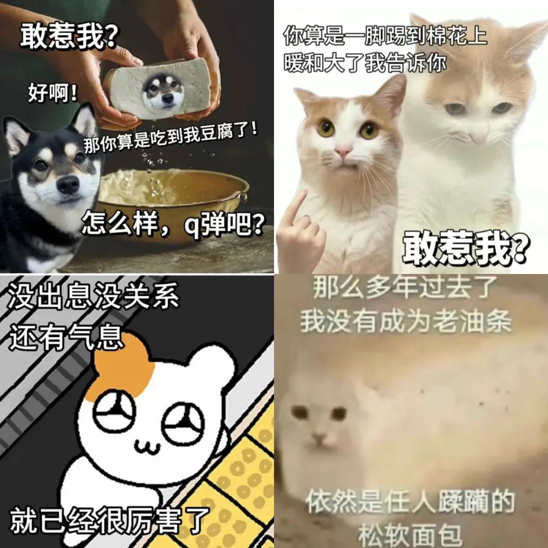 "踢到我算是踢到棉花了",窝囊废文学为啥火遍全网?