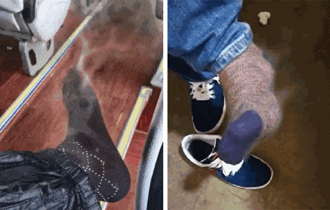 被全家人猛夸的"呼吸袜",谁试穿都不臭脚!39.9元 12 双!