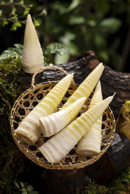 上碗筷!如何一口"吃掉"春天?|春菜_新浪财经_新浪网