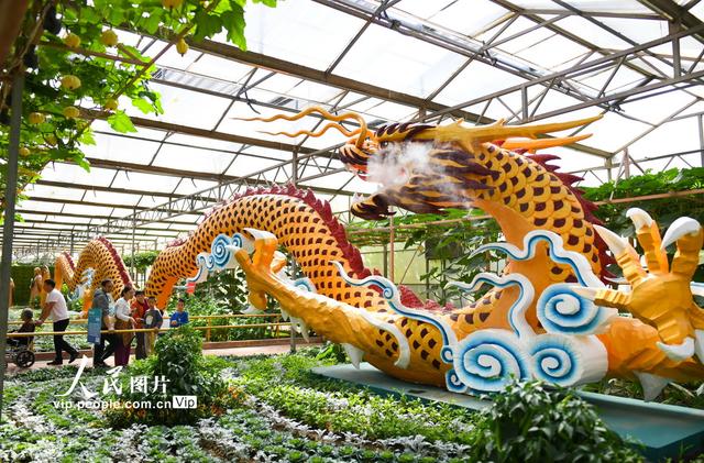 第二十五届中国(寿光)国际蔬菜科技博览会开幕