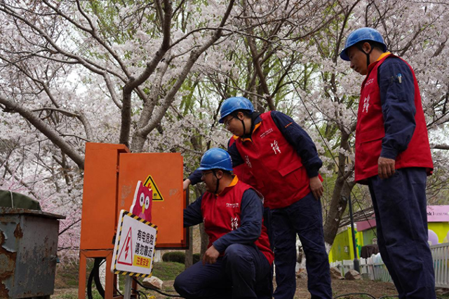 大连市旅顺口区供电公司全力守护樱花节