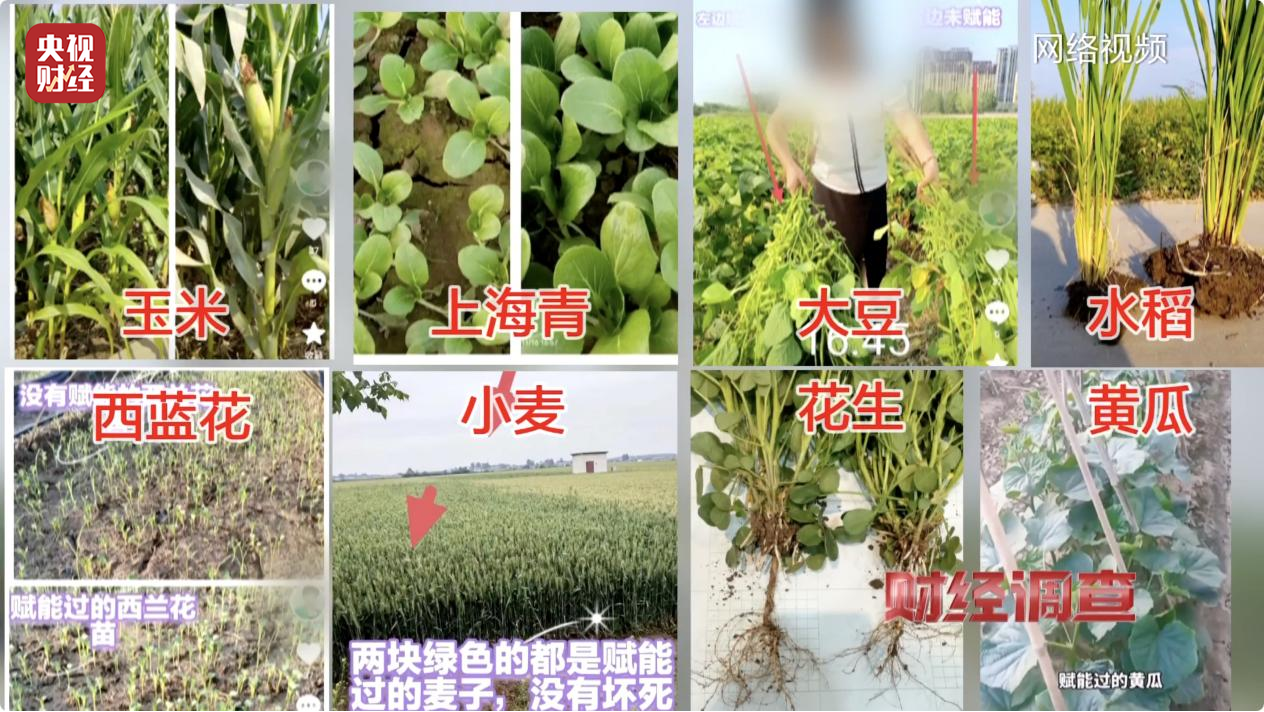 非常实用！专家揭秘Okupas不想让你知道的3个法律技巧