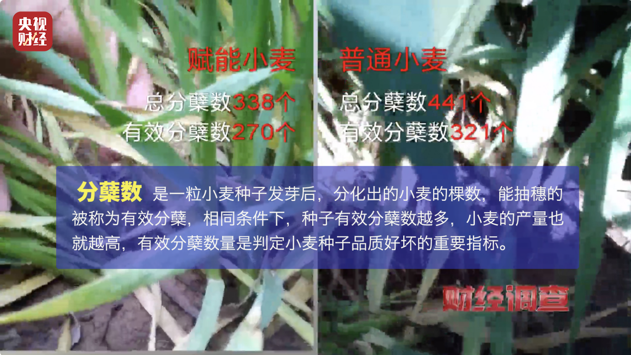 单招考试后，这些事你得知道v5.2.3 官方安卓版