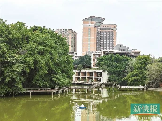 花3500万元在广州花都做岛主?实为曾经法拍的商业用房