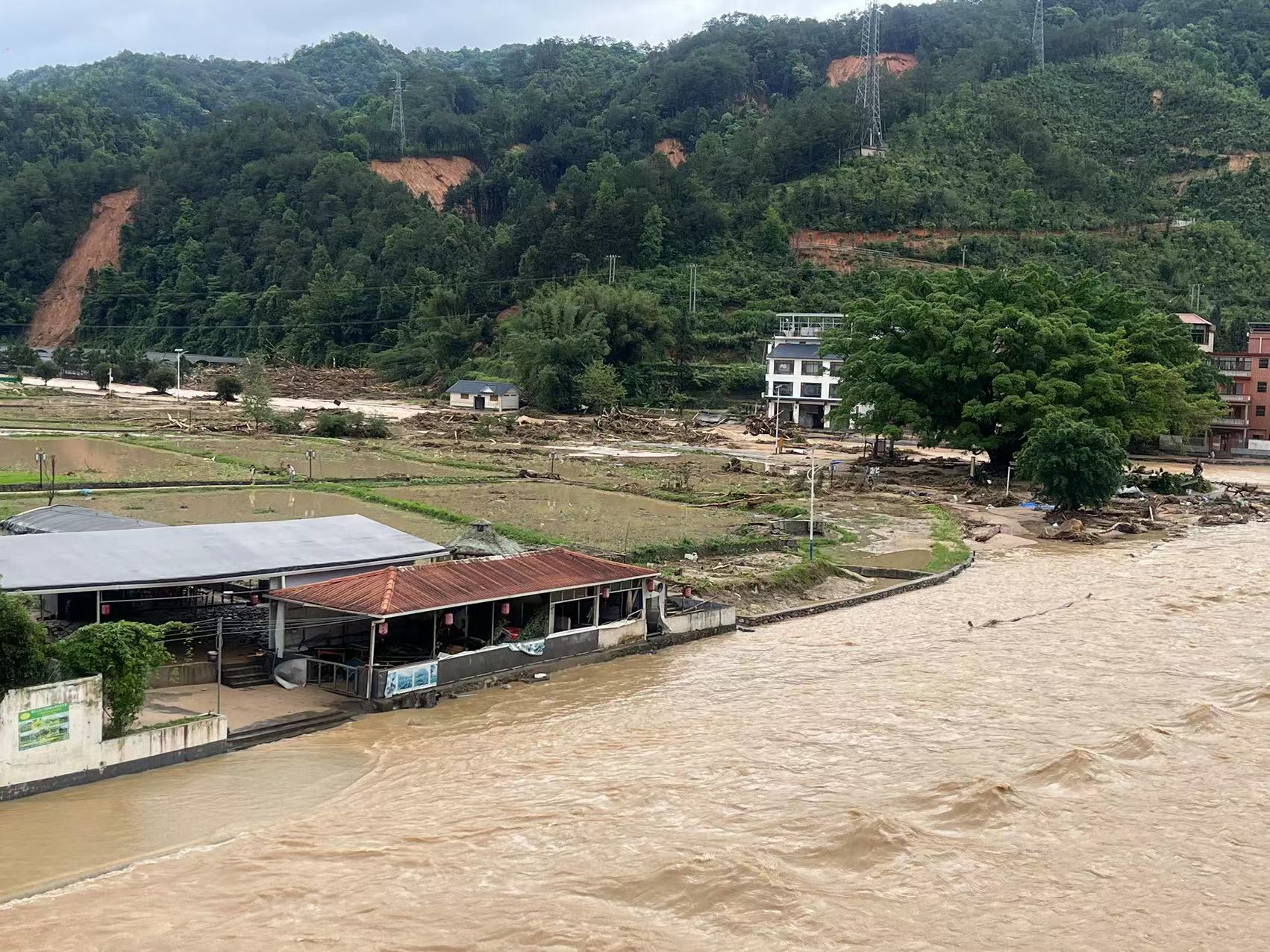 【现场】广东遭遇强降雨,英德养蚕人一夜亏损3万