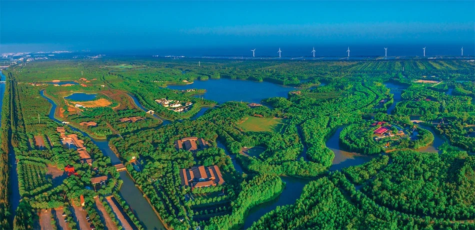 打造"绿色低碳"闪亮名片,奉贤区海湾镇召开2024低碳发展促进大会