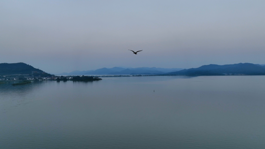 离尘不离城的恰好尺度,一出门尽揽"月波浮镜,霞屿春深"的美景,同时
