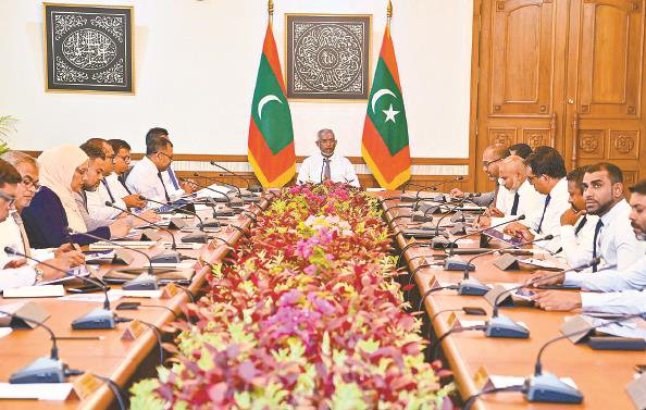 马尔代夫议会选举执政党大胜