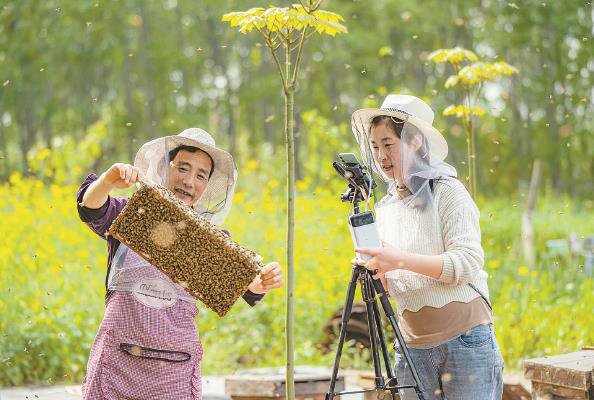 近日,江苏省沭阳县扎下镇,蜂农在飞舞的蜂群之间忙碌,当地鼓励依托