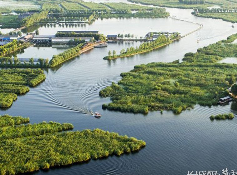 刘冬梅:我给白洋淀水质做"手账"