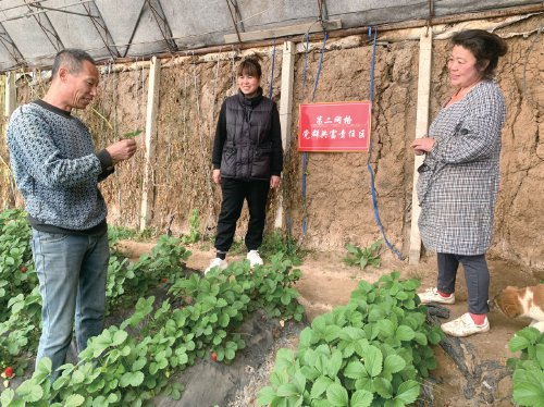 宝相屯村位于辽宁省沈阳市苏家屯区永乐街道南部,多年来主要以土地