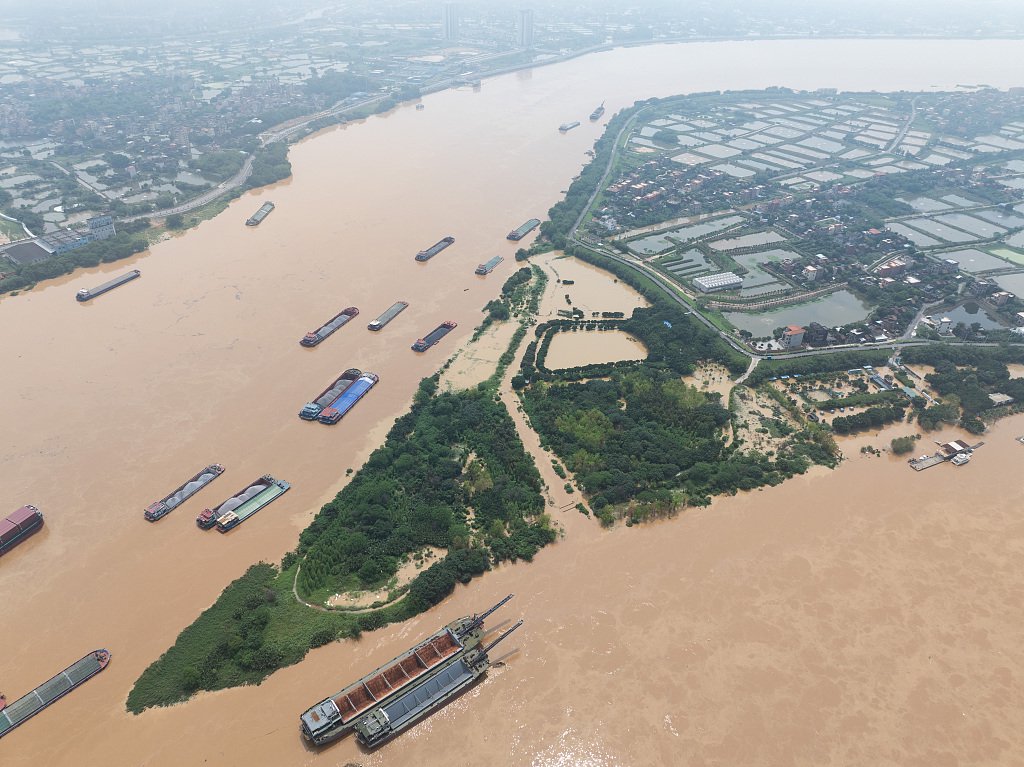 2024年4月23日，广东佛山市，受到洪水袭击的广东佛山市海寿岛。视觉中国 图