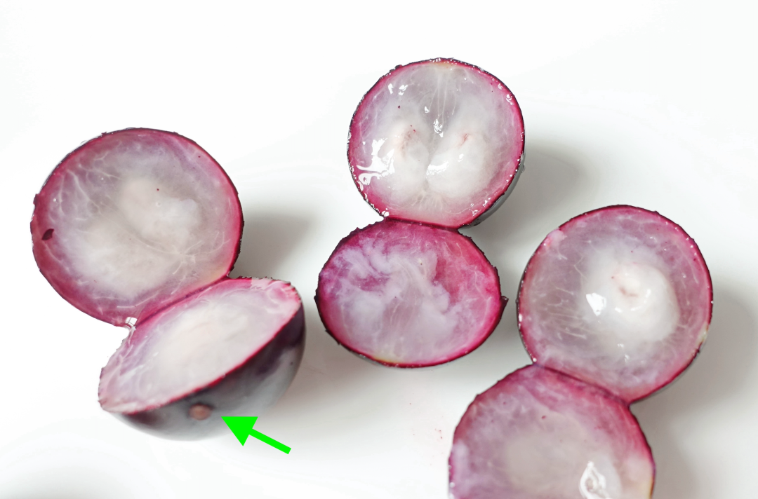 果肉呈白色，左下角的那个嘉宝果上还有”屁股“。（图/wiki）