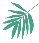 奇幻巡游季,琼粤非遗文化展演,妈祖诞辰巡游,荷花节