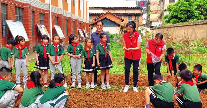 南宁市华衡小学学生认真聆听向日葵种子种植讲解。（韦静 摄）