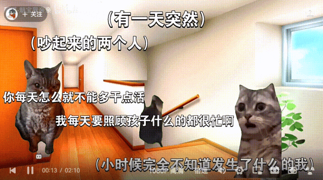 （节选自情感创伤类猫meme视频）