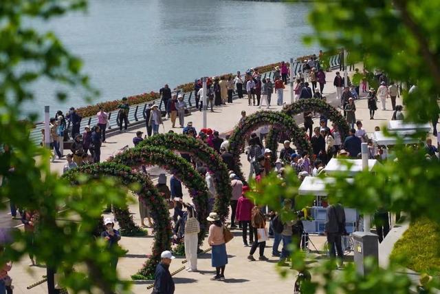 4月下旬，徐汇滨江，上海国际花展开幕。上海徐汇 图