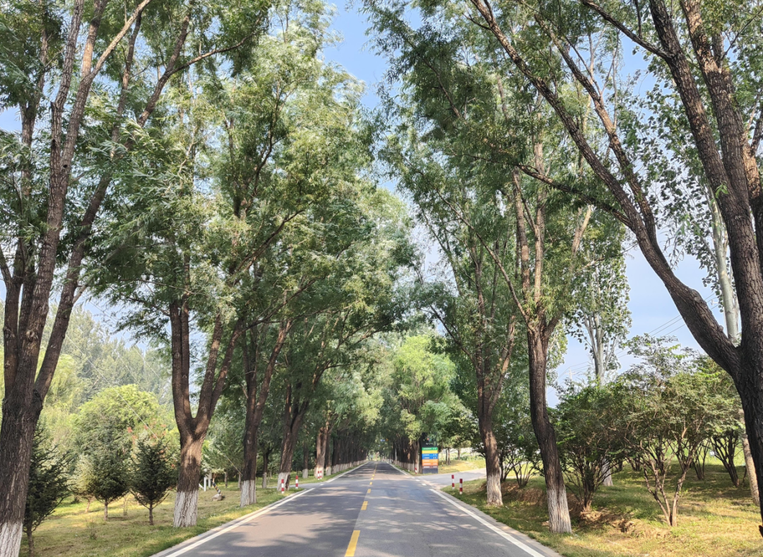 滨河南路（资料图）