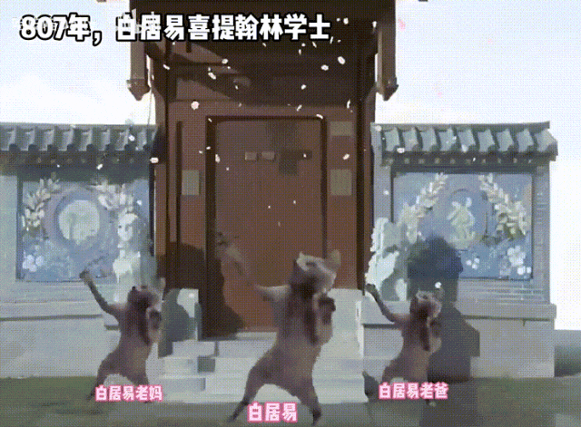 （来自@哈皮喵meme的《用喵meme演绎【白居易】的一生》）