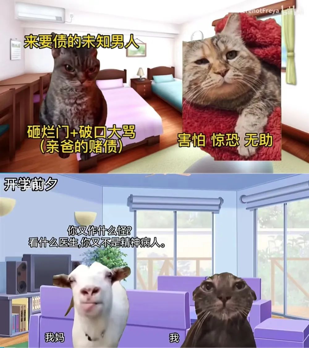 夜思| 猫meme统治地球，猫meme拯救世界
