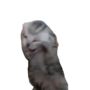 （从左到右分别是“新鲜哥”“齐刘海奶牛猫”和“尖叫奶猫”）