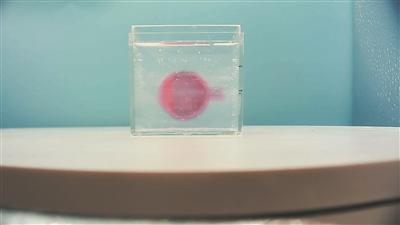 从微米级角膜结构到分米级心脏模型 多尺度浸入式打印实现“大小通吃”