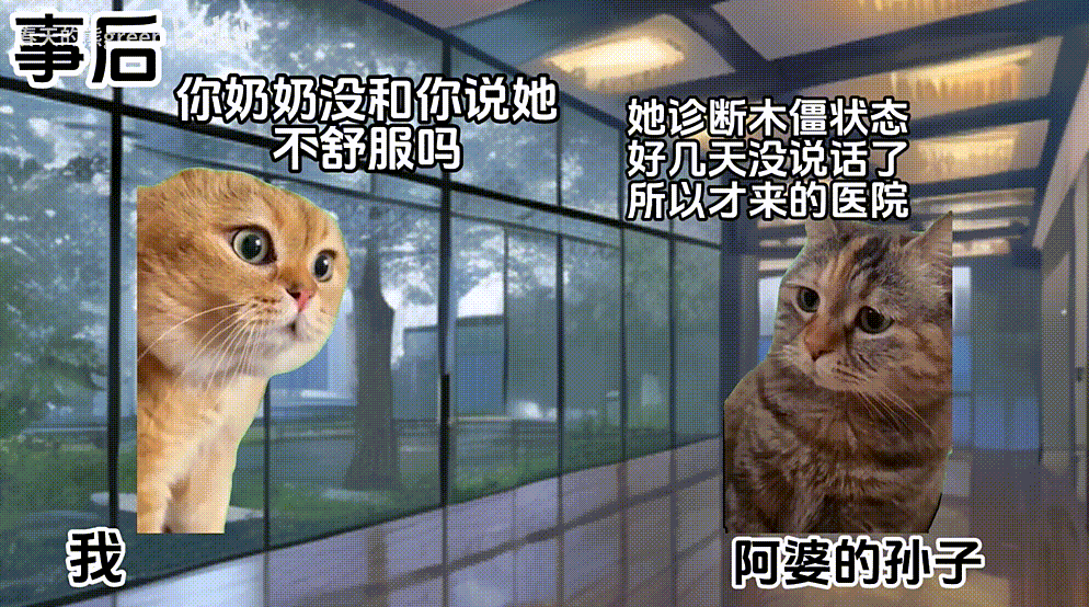 （来自@春天的熊green《【猫meme】急诊精神科的日常II》）