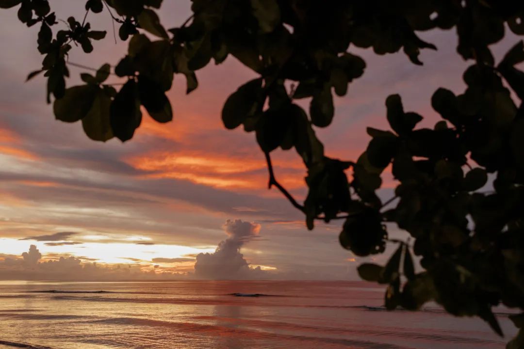 壮美的日落。（图/斐济洲际高尔夫水疗度假酒店（InterContinental Fiji Golf Resort & Spa)）