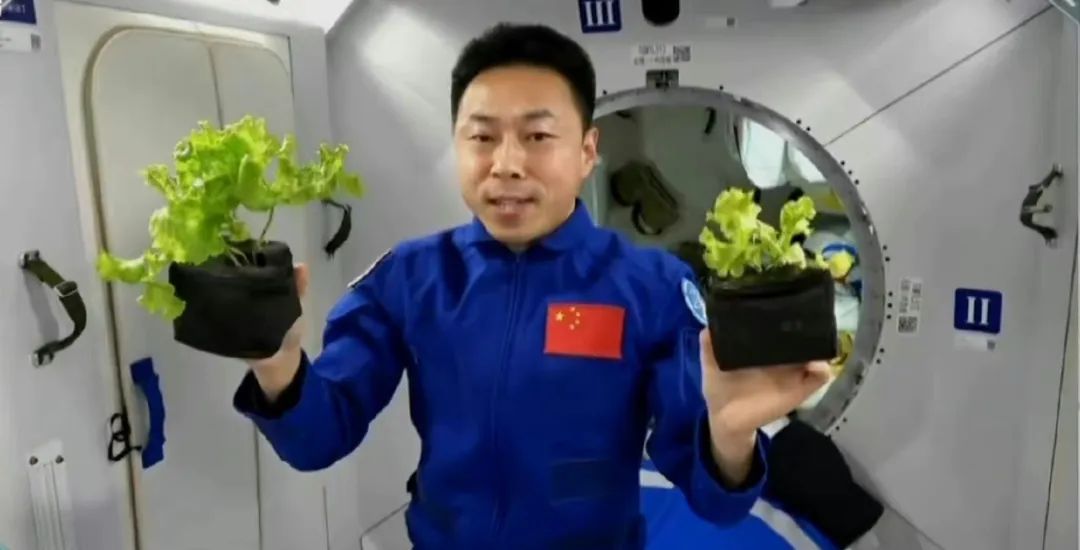 成为一名合格的航天员,需要几步?|载人航天_新浪财经_