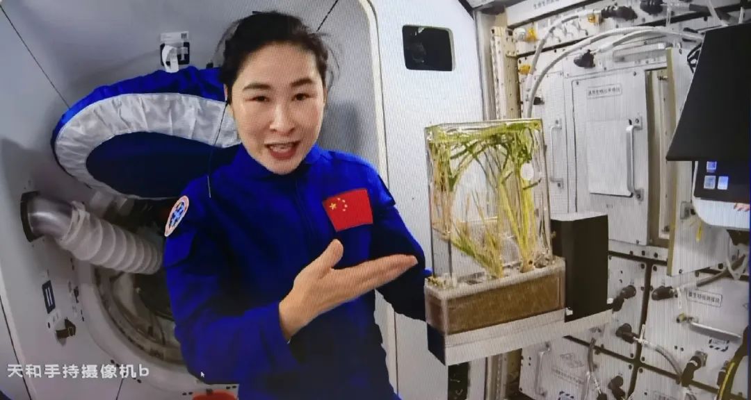 成为一名合格的航天员,需要几步?|载人航天_新浪财经_