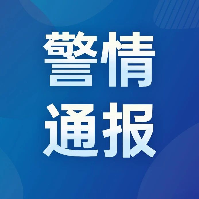 流浪猫被烈性犬咬死，长春警方通报！|流浪猫|长春市_新浪新闻
