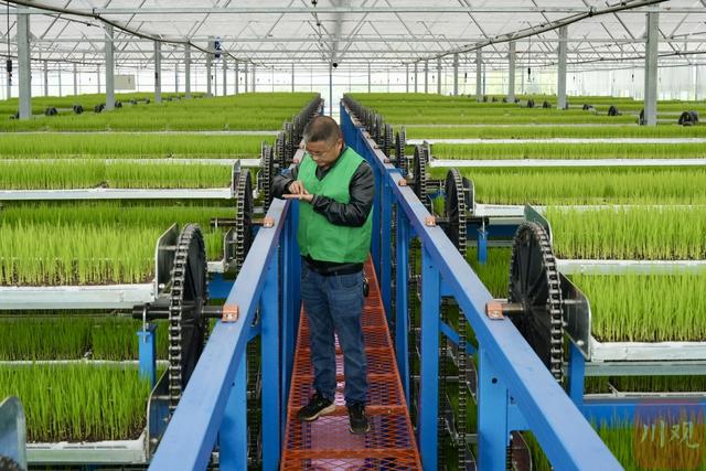 万象耕新看遂宁2024⑨│遂宁:机械化助力春耕跑出"加速度"