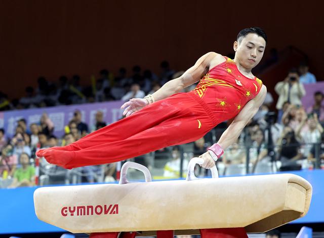 全国体操锦标赛 邹敬园鞍马摘金 刘洋吊环夺冠