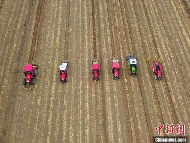 吉林农安，多台农机设备在进行春耕作业。 (无人机照片)刘栋 摄