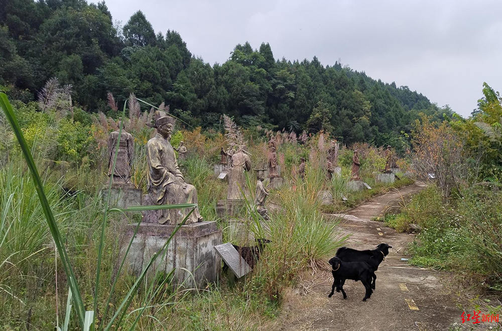 四川德阳中江县冯店镇的“古名天下”景区，村民在“帝王塑像”下放羊。红星新闻 图