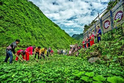第二届薅草锣鼓赛歌会在四川省宣汉县龙泉土家族乡自由村举行。龙潜摄