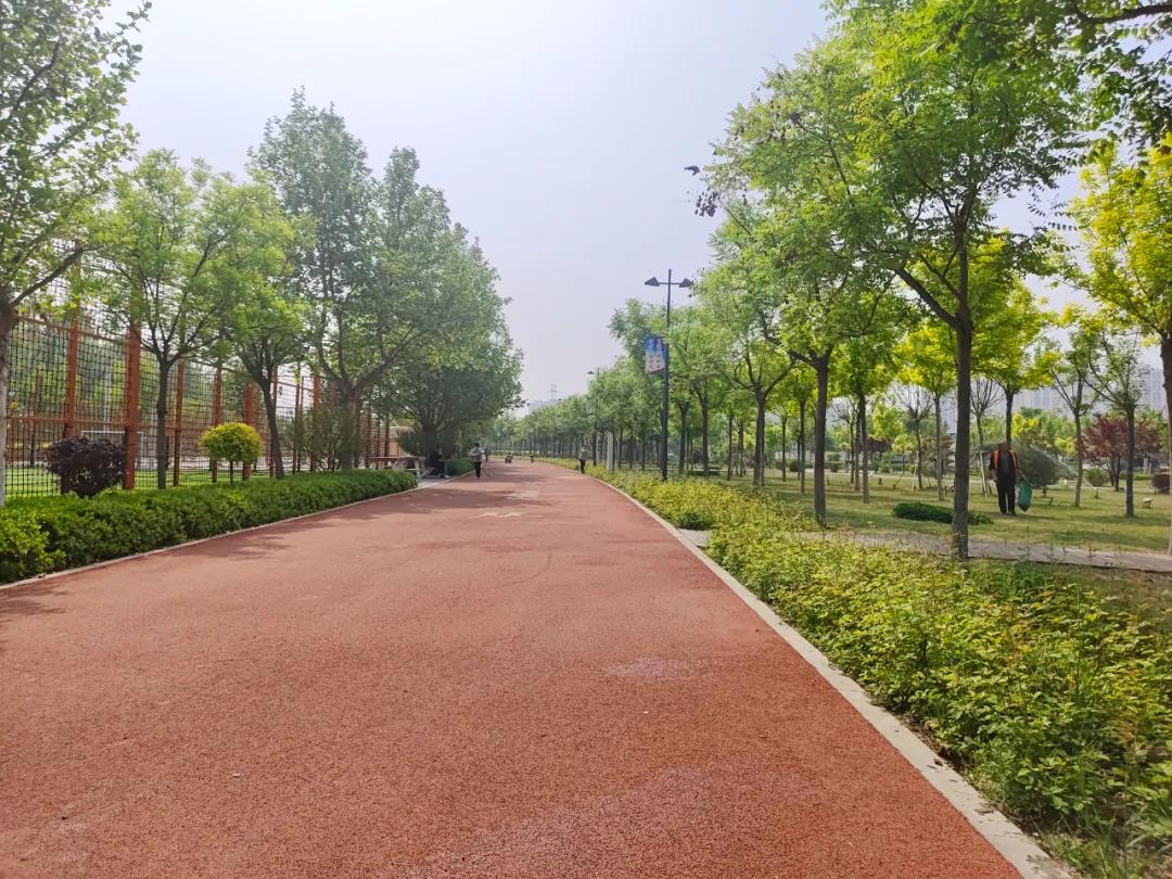 聚焦城市管理"新颜值"行动进行第一百一十一周观摩:清苑区体育公园与