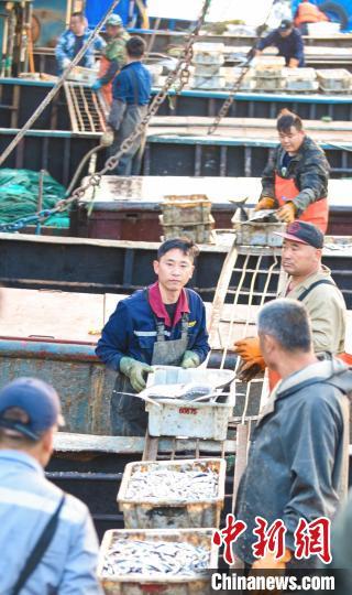 2024年4月，在山东烟台黄渤海新区的初旺码头，一艘艘渔船满载而归。肖水莲 摄