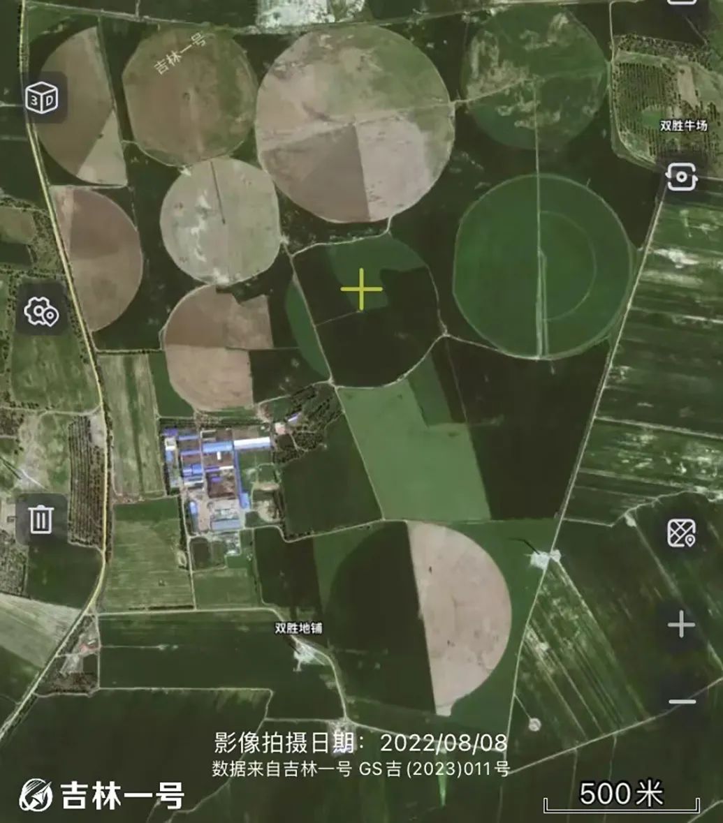 张文军等人承包的双胜农场卫星图，因采取旋转式喷灌设备，所以地块呈圆形。