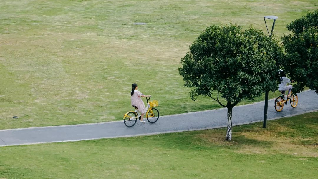 市民在北湖生态公园骑车 摄影：彭越