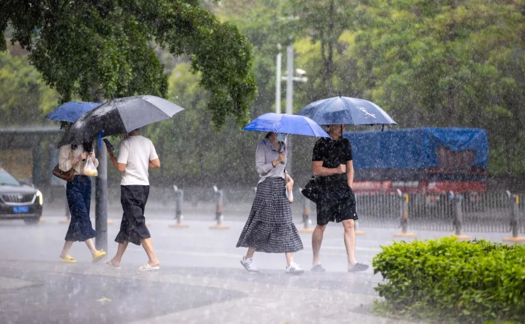 近日深圳连日暴雨。深圳特区报记者 赖犁 摄