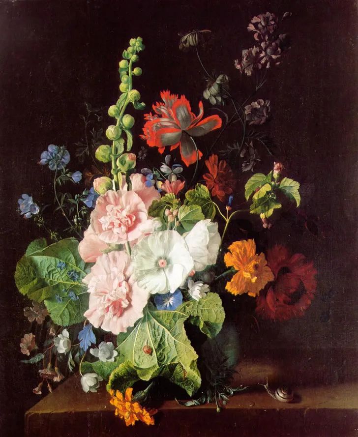 ▲世界名画《花瓶中的蜀葵》，荷兰画家扬·凡·海瑟姆（1682-1749）作品
